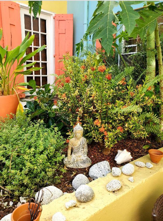 Crown Lotus Appartamento Christiansted Esterno foto